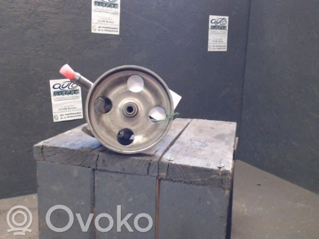 Power steering pump   4007EA