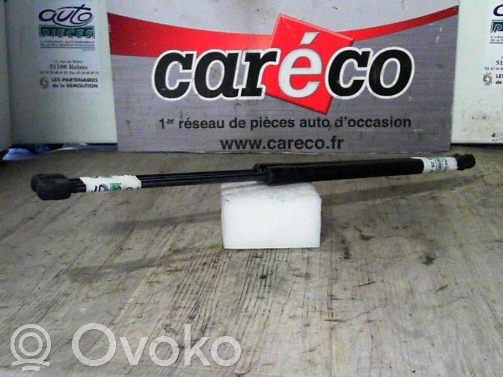 Tailgate/trunk strut/damper   8Z0898552