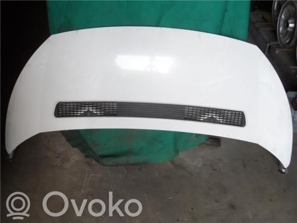 Engine bonnet/hood   7901N1,FT9233100
