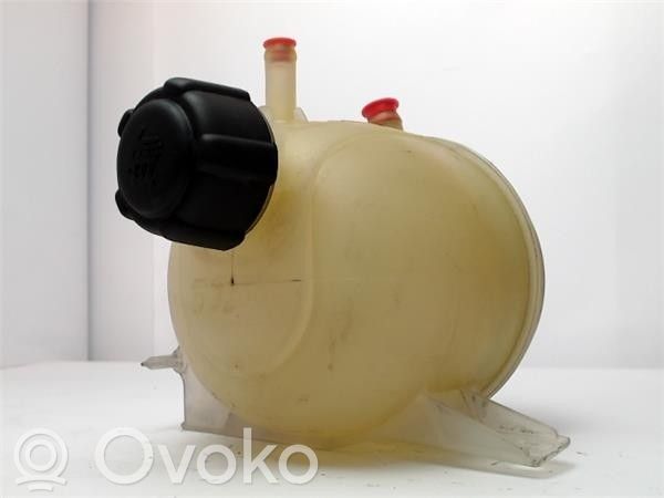 Renault Kangoo I Ausgleichsbehälter Kühlwasser 