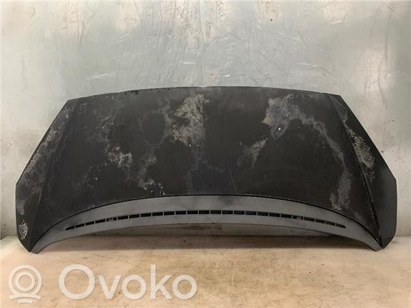 Engine bonnet/hood   7901K9