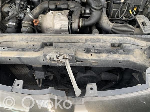 Tie down hook / loop   793492