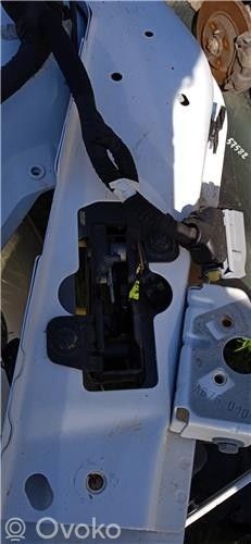 Alfa Romeo Giulia Tie down hook / loop 