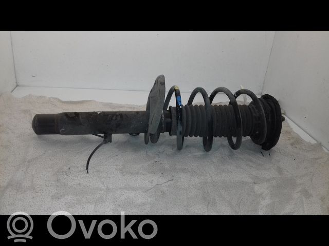Priekšpusē amortizators   9801736280