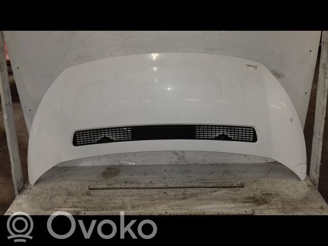 Dzinēja pārsegs (vāks)   1608371780
