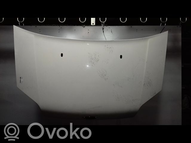 Dzinēja pārsegs (vāks)   4503736