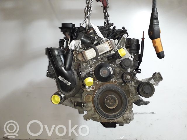 Variklis   11002209400
