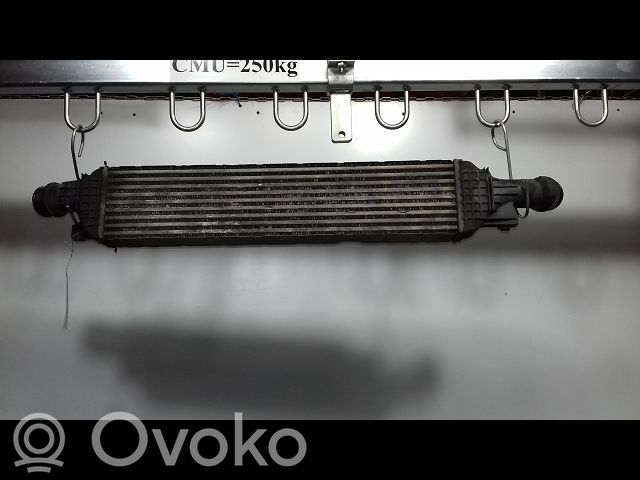 Audi Q3 8U Interkūlerio radiatorius 