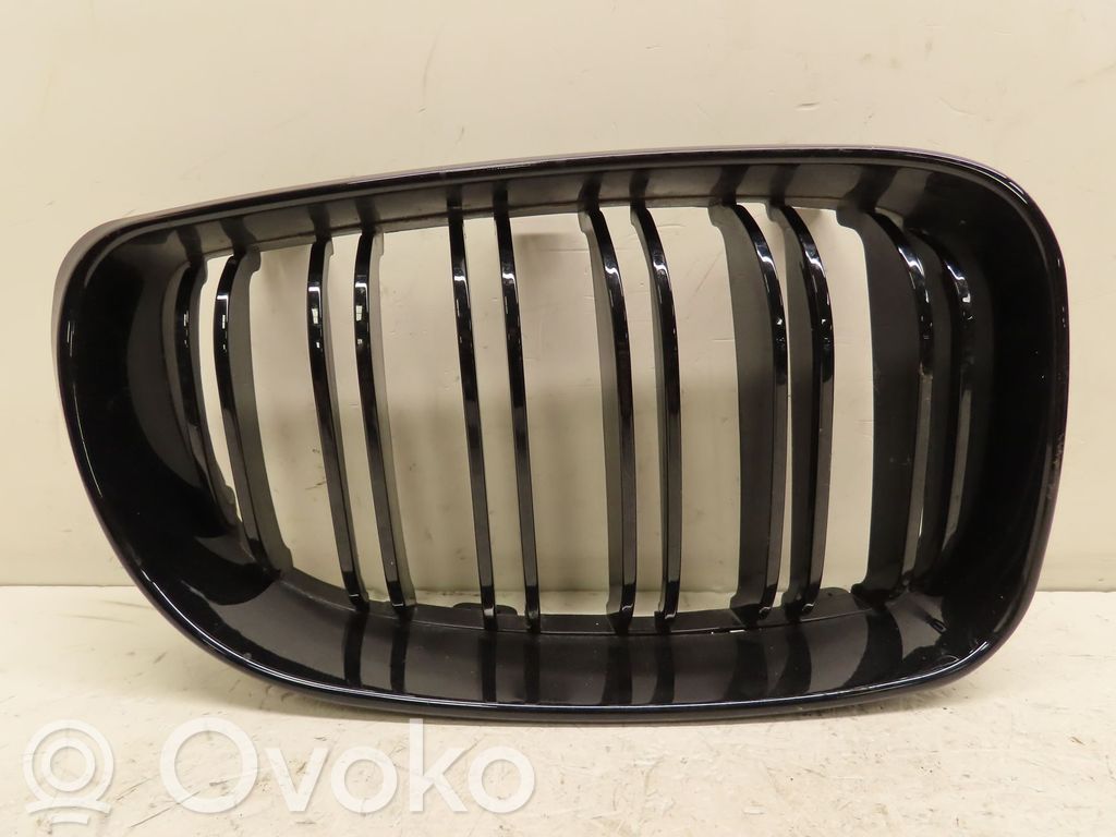 Kühlergrill   51137077130