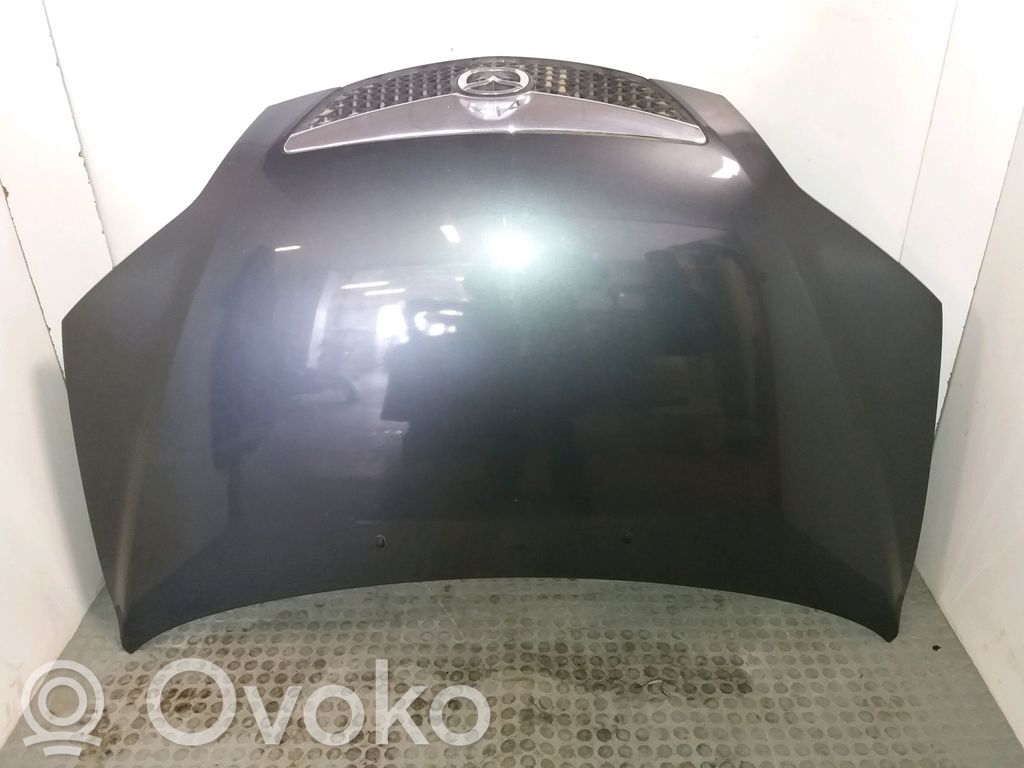 Engine bonnet/hood   DDY05231X
