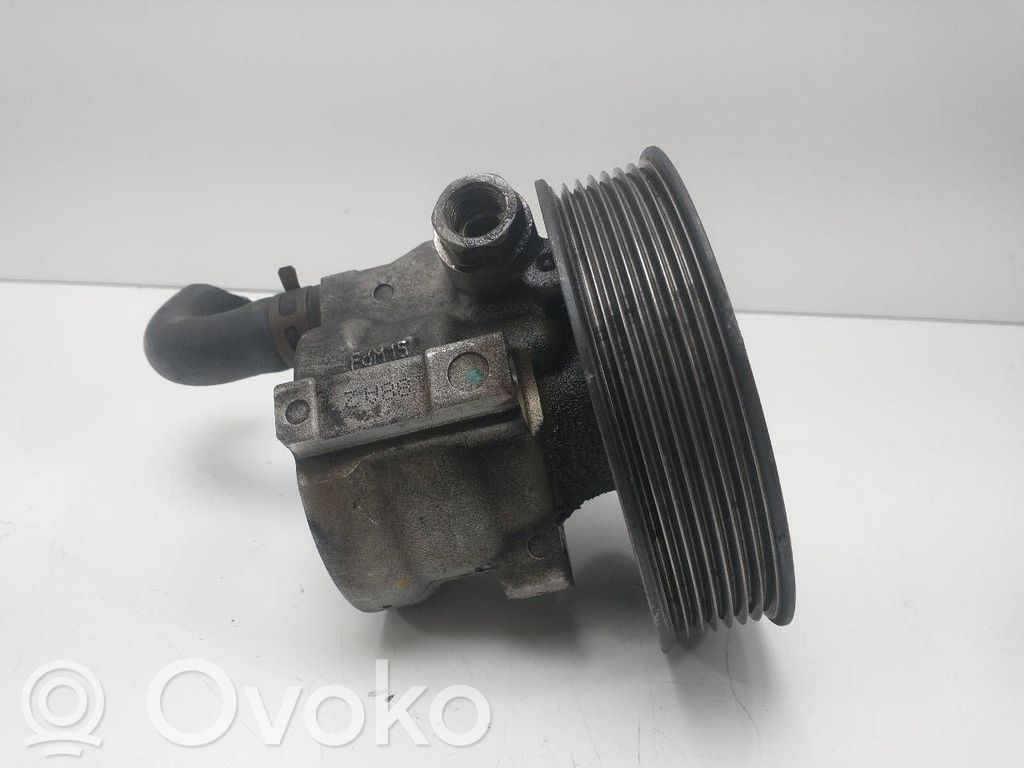 Ohjaustehostimen pumppu   8200319066,26106122EC