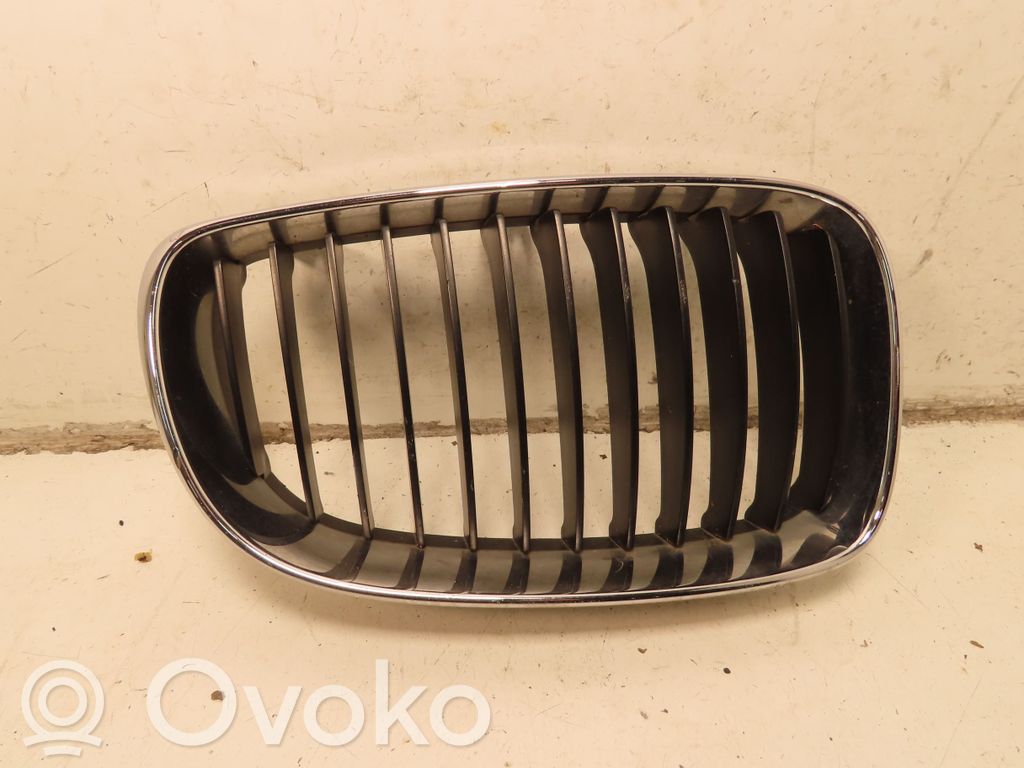 Kühlergrill   51137166440
