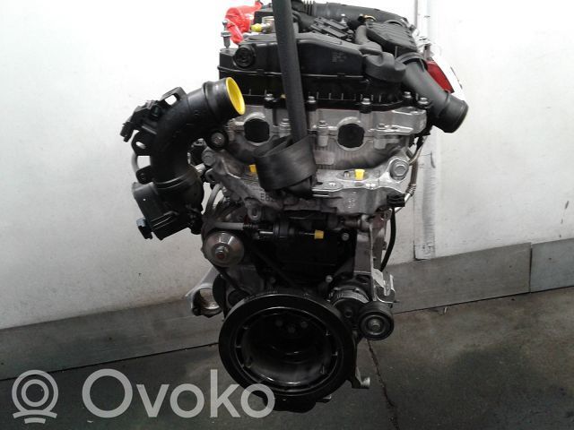 Variklis   1617295980