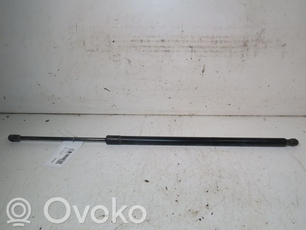Tailgate/trunk strut/damper   1945552