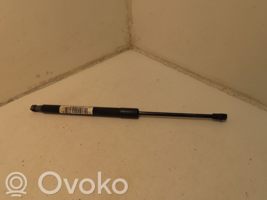 Tailgate/trunk strut/damper   904524666R