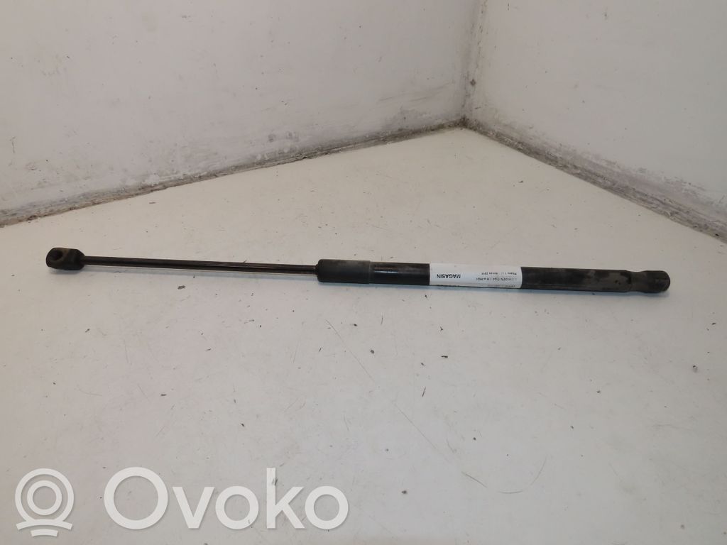 Tailgate/trunk strut/damper   8731X6