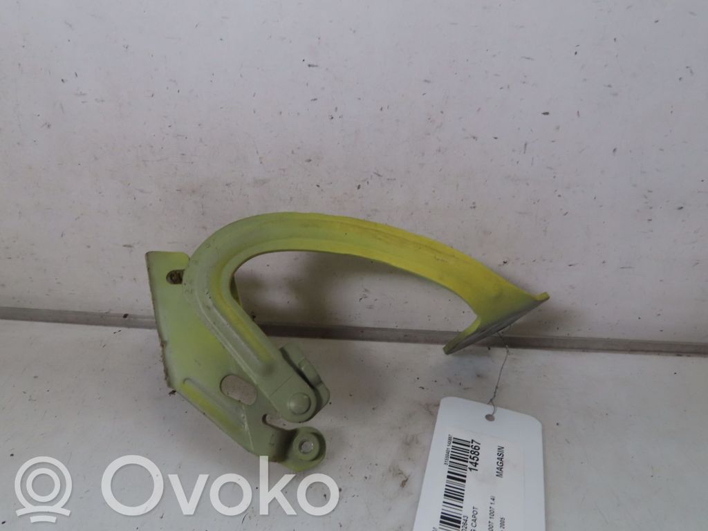 Engine bonnet/hood hinges   791275