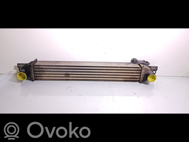 Interkūlerio radiatorius   384L7