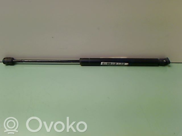 Tailgate/trunk strut/damper   1025425