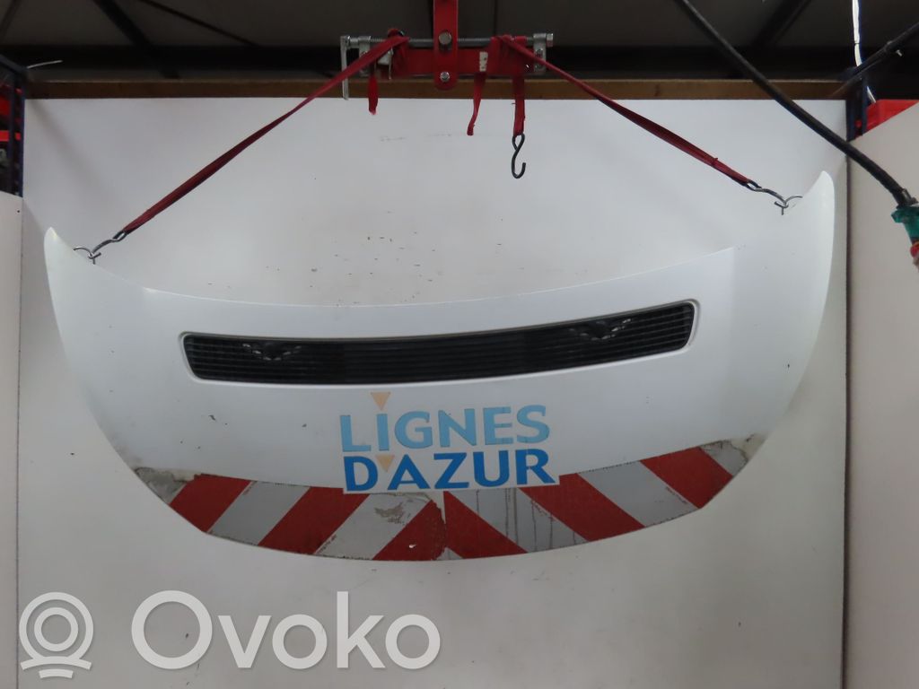 Dangtis variklio (kapotas)   1608371780