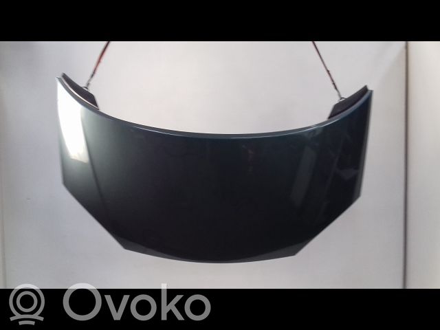 Motorhaube   1316291