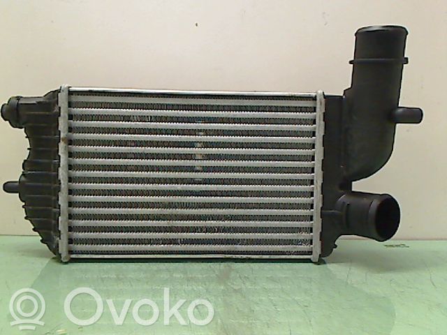 Intercooler radiator