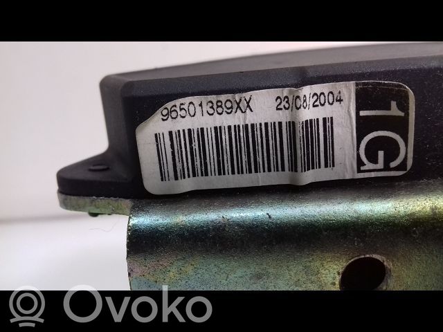 Citroen C5 Cinturón delantero 