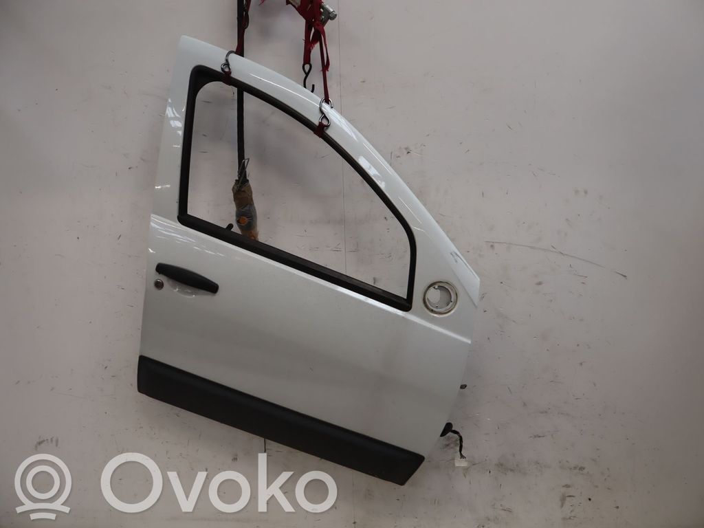 Tür vorne   801006719R