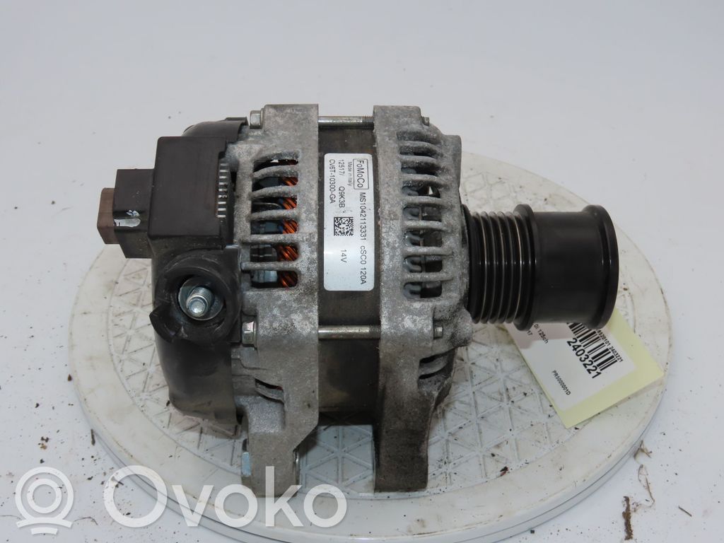 Lichtmaschine   1821291