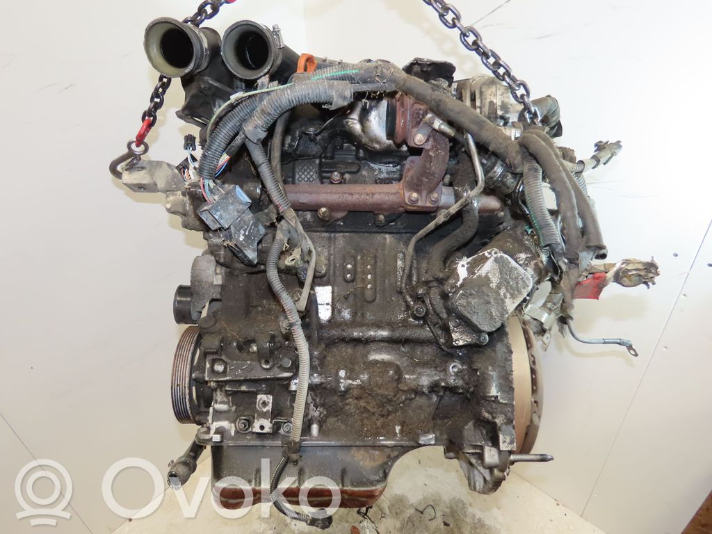 Variklis   135QF