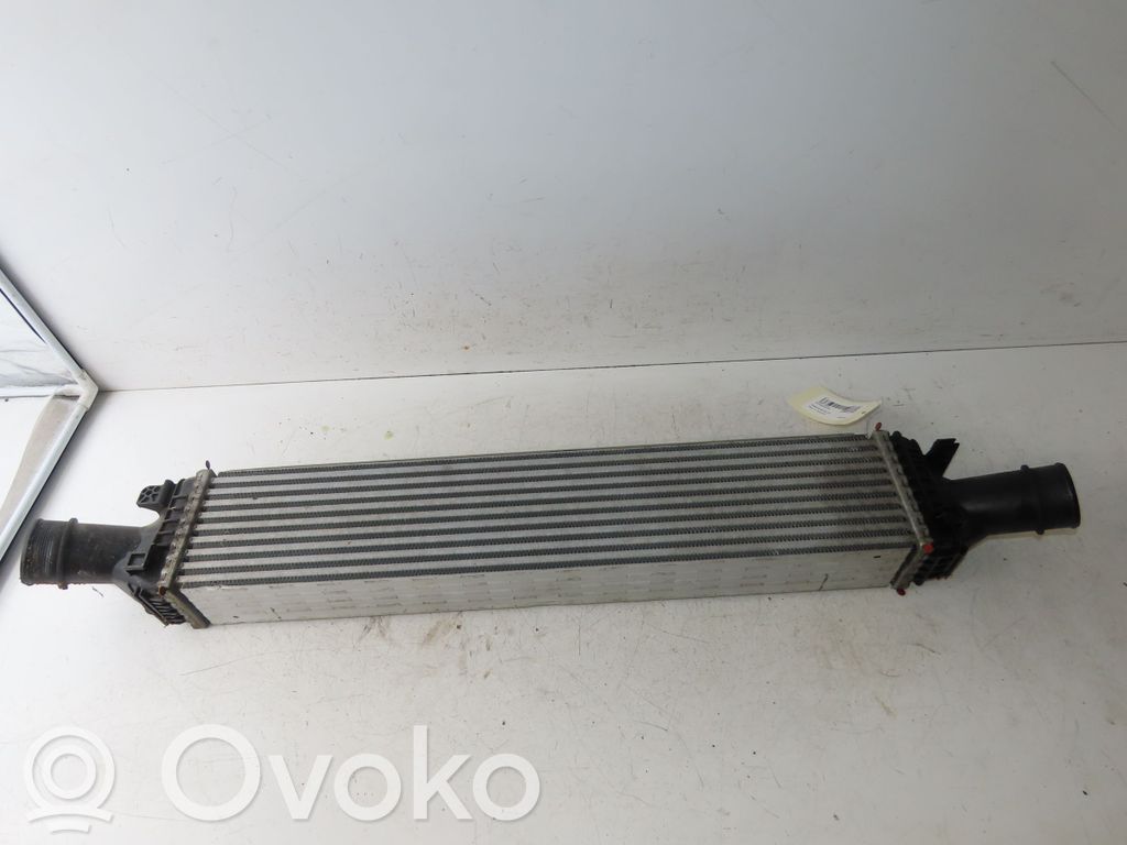 Interkūlerio radiatorius   95B145805A