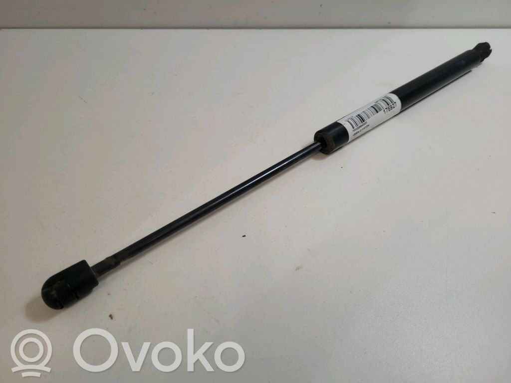 Dodge Journey Tailgate/trunk strut/damper 