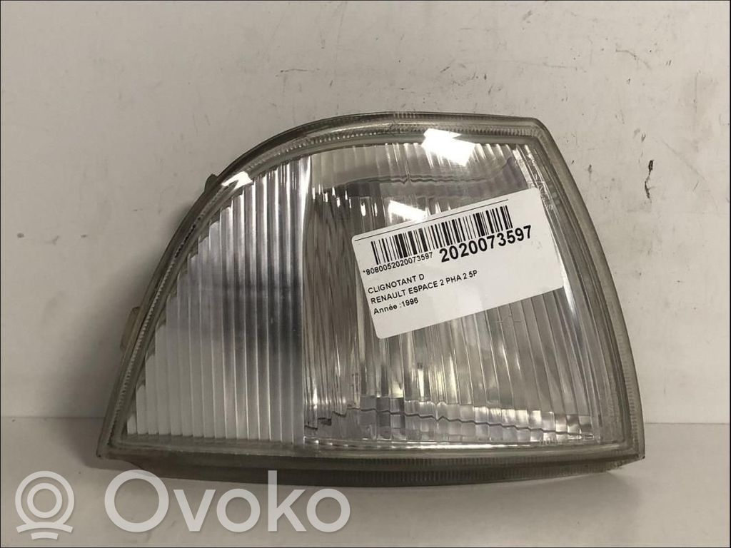 Seitenblinker   6025170012