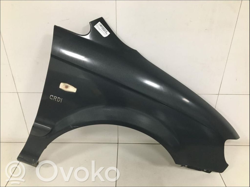 Hyundai Trajet Guardabarro 