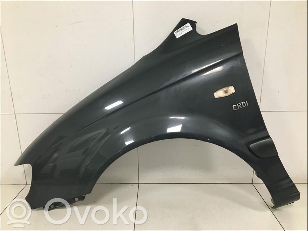 Hyundai Trajet Guardabarro 