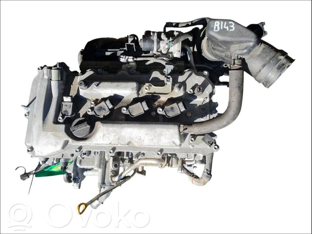 Engine   1900036430