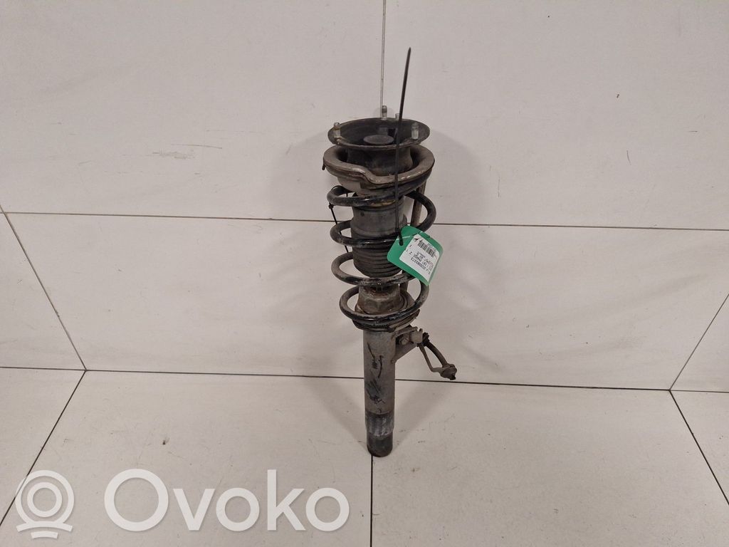 Front shock absorber with coil spring   31316786017