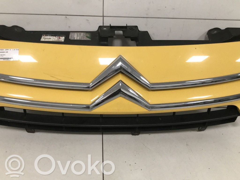 Front grill   00007804R2