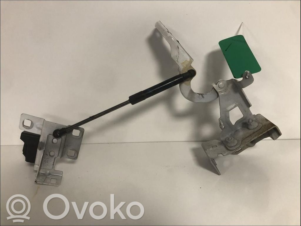 Renault Trafic III (X82) Engine bonnet/hood hinges 