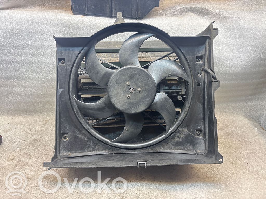 Elektrinis radiatorių ventiliatorius   0130303846