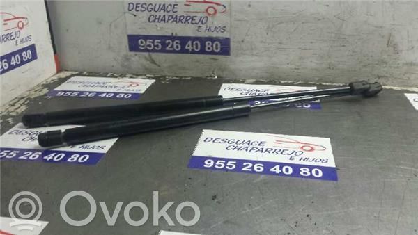Tailgate/trunk/boot lid buffer