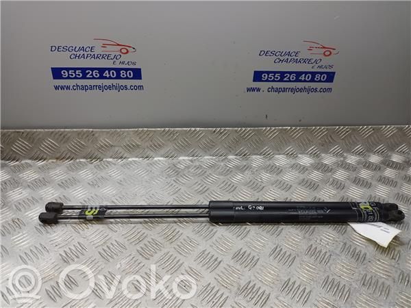 Tailgate/trunk/boot lid buffer   520907720
