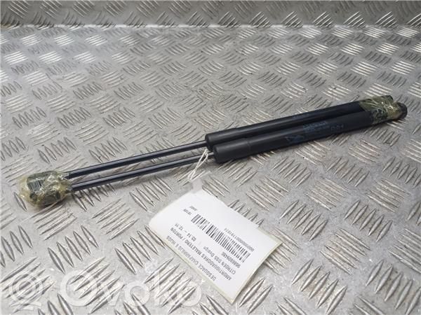 Citroen DS5 Tampon hayon/capotă portbagaj 