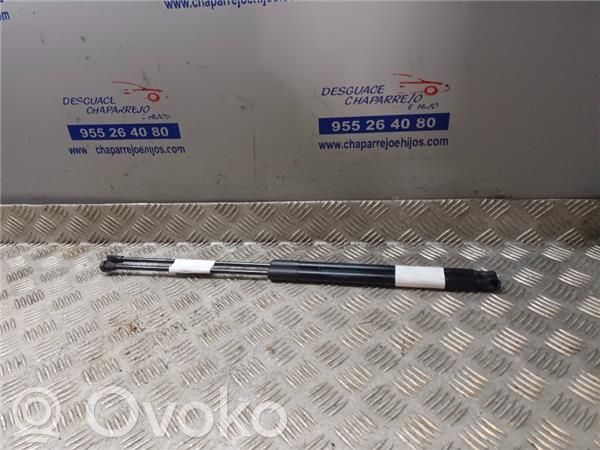 Tailgate/trunk/boot lid buffer   6895002190