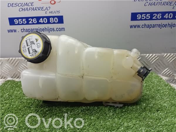 Volvo S40 Vaso di espansione carburante 