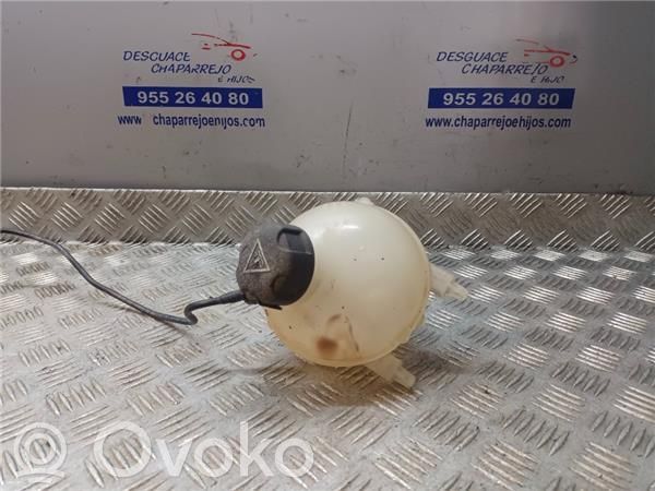 Peugeot 5008 Vas expansiune combustibil 