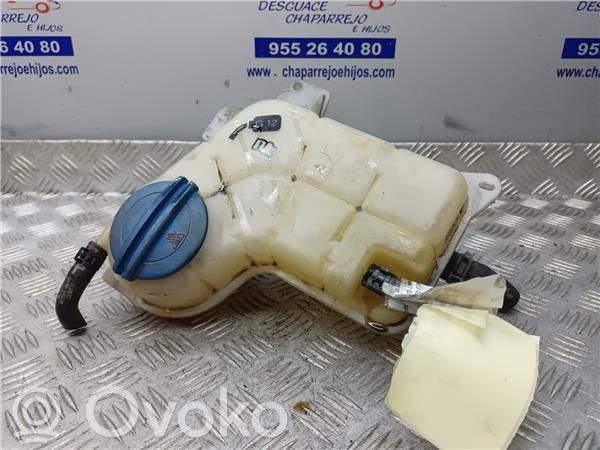 Seat Exeo (3R) Vaso di espansione carburante 