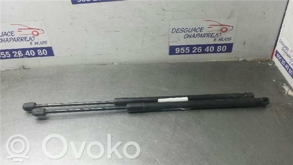 Amortiguador del maletero/compartimento de carga   D65163620