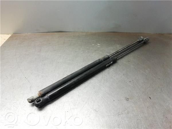 Dodge Caliber Tampon hayon/capotă portbagaj 