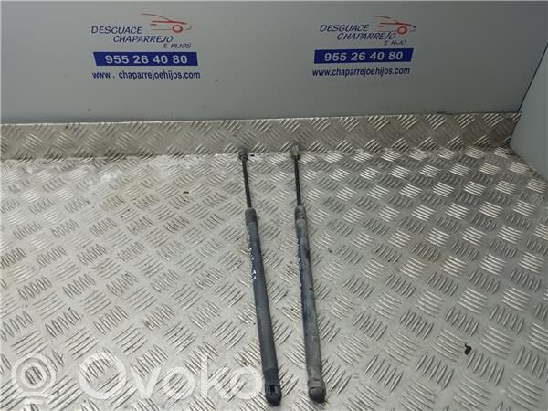 Amortiguador del maletero/compartimento de carga   D65163620